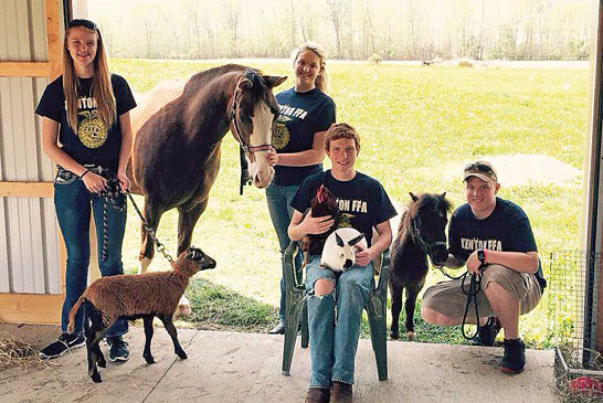 Farm animals at school