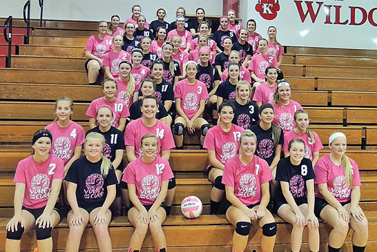 Volley for the Cure