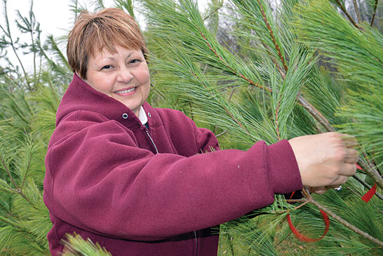 Marking the trees