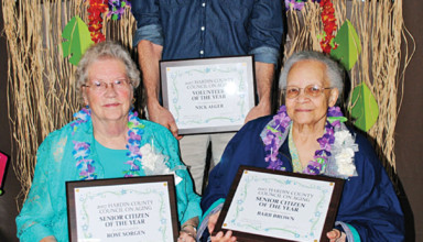 Seniors, volunteer honored