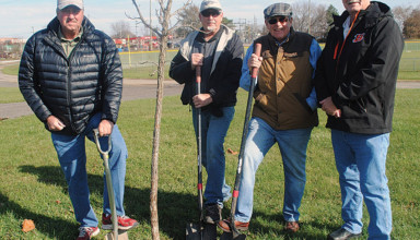 Trees planted