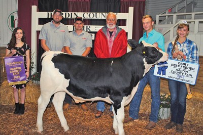 Champion dairy feeder