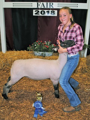 Junior showman