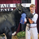 Senior dairy showman