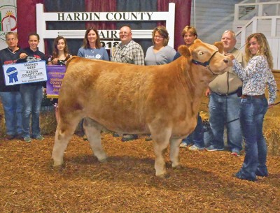 Top steer purchased