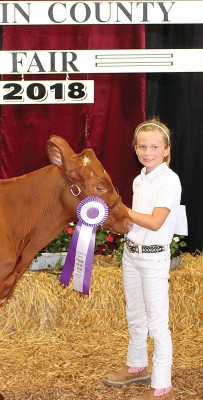 Milking Shorthorn winner