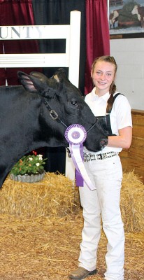 Sr. Holstein grand champ