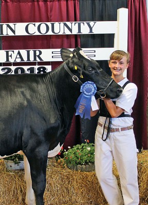 Sr. dairy showman