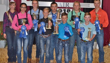 Showmanship winners