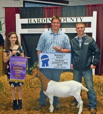 Champion goat sold